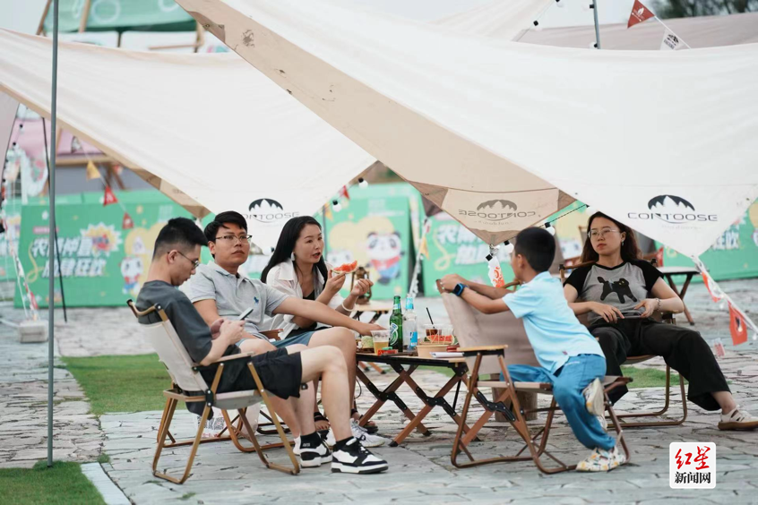 来新津解锁趣味夏天！足球狂欢、农博“偷菜”……天府农博消夏季持续上演新精彩！(图2)