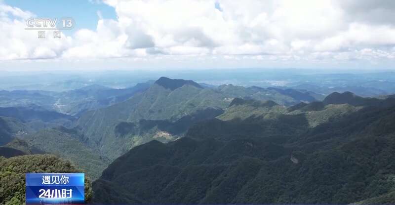 “人生就像一座座高山要不停去翻越”她一路奔跑痛并快乐着(图3)