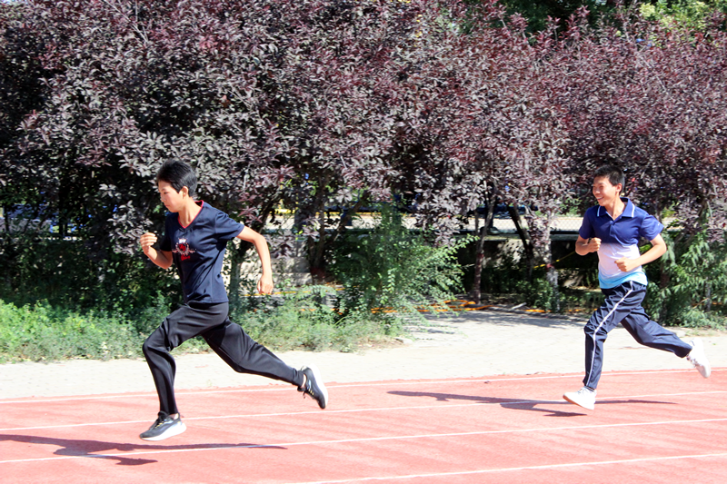 挖掘潜能共筑体育梦想石嘴山市开展残疾人运动员选拔(图2)