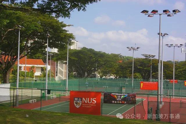 新加坡抢体育人才！给运动员发钱、保障买房养老、学习和训练兼顾(图6)