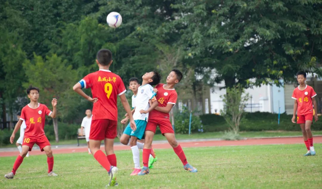 足球少年载誉而归2024年WilliamHill云南省（第四届）青少年足球联赛圆满落幕_新华网(图4)
