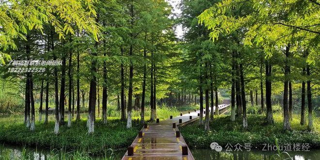 2024津南海教园中海长林郡—(售楼处)营销中心-楼盘百科!(图3)