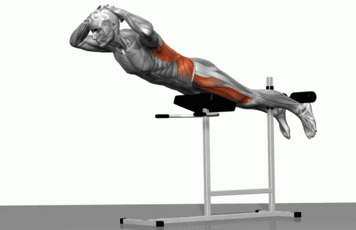 塑造完美体态！6大男士必备的高效健身方法!威廉希尔WilliamHill(图7)