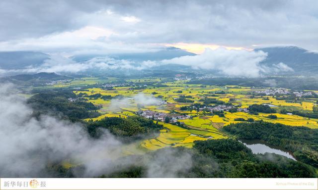 新华每日播报｜8月20日(图7)