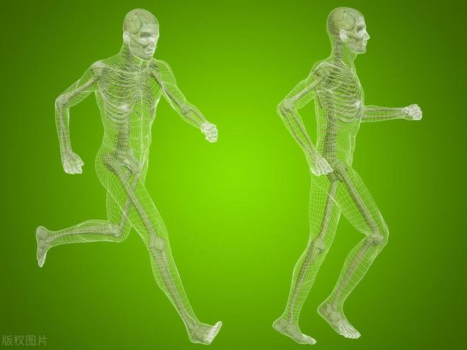 每天安排半小时健身9个好处不请自来(图6)