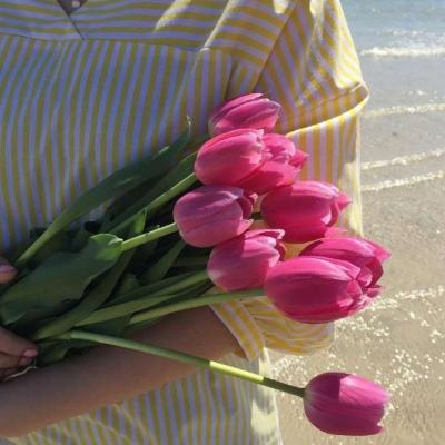 威廉希尔开云登录入口(图2)