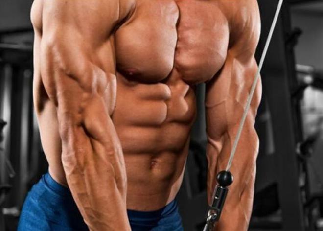 健身新手必看！三分化锻炼计划快速上手。(图2)