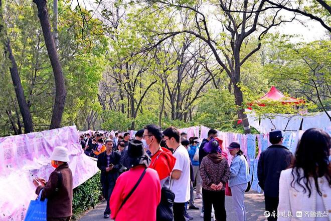 4月13日最佳情报打卡千佛山相亲大会逛齐鲁车展！恭喜获奖(图3)