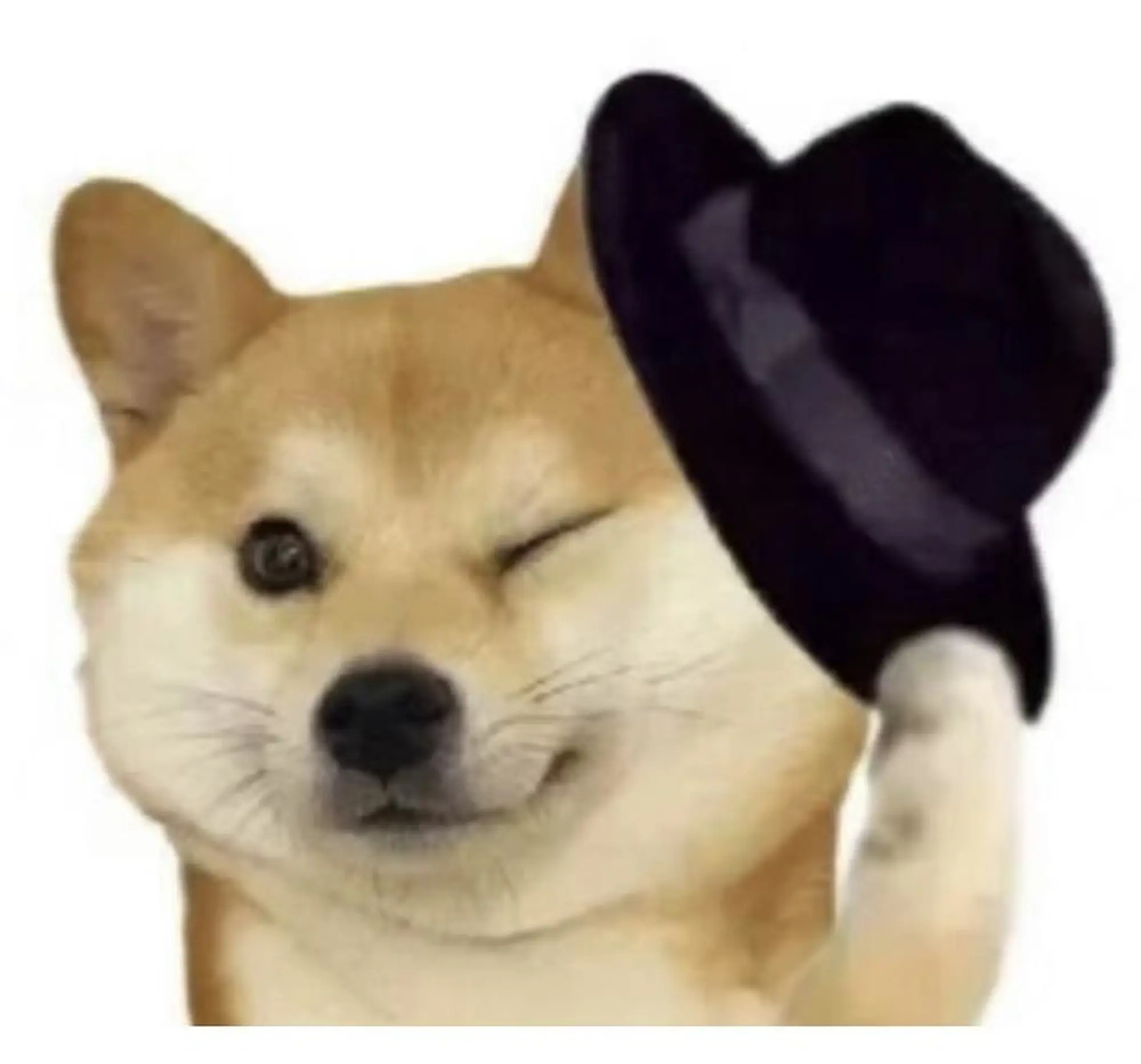 流言板]曼联：66岁马耳他球迷格兰维尔获本年度斯特灵球迷奖(图4)