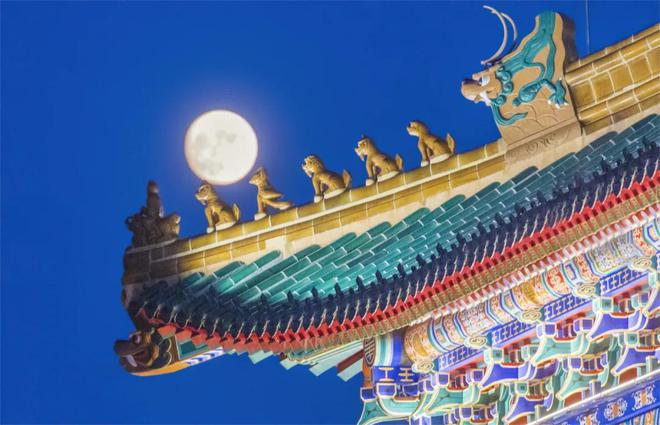 WilliamHill在新中国第一所体育高等学府一次性解锁三个上海体育文化地标！(图2)