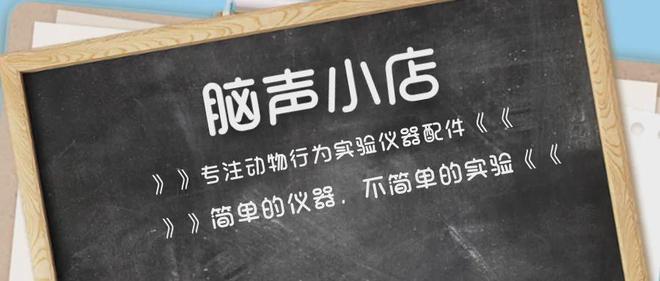 NatCommun丨荷兰伊拉斯姆斯医学中心高振宇团队WilliamHill揭示小脑与前额叶协同调整运动节奏(图4)