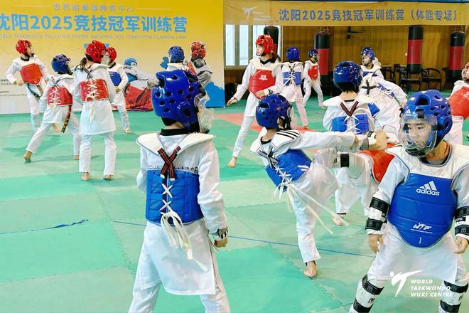 世界跆拳道教育中心沈阳2025竞技冠军训练营成功举办(图6)