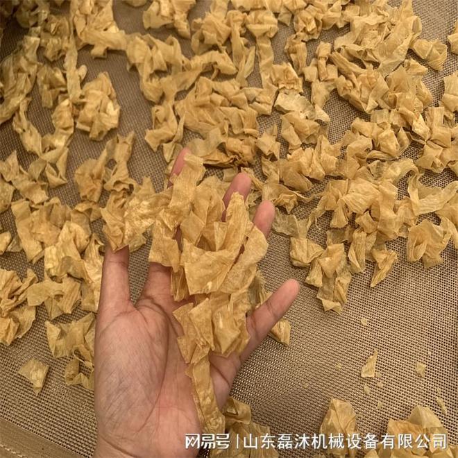 微波隧道炉在豆皮烘干环节的应用堪称一场革命性的突破(图3)