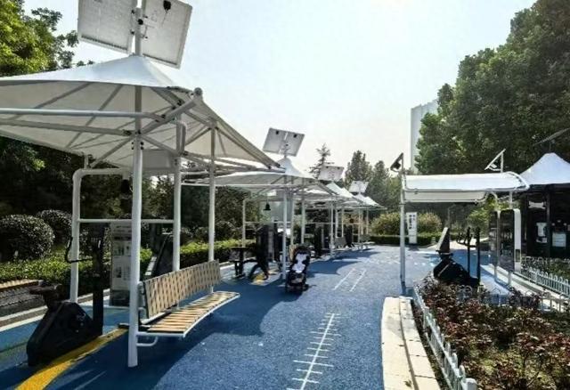 体育赋能石家庄打造宜居美丽新家园(图1)