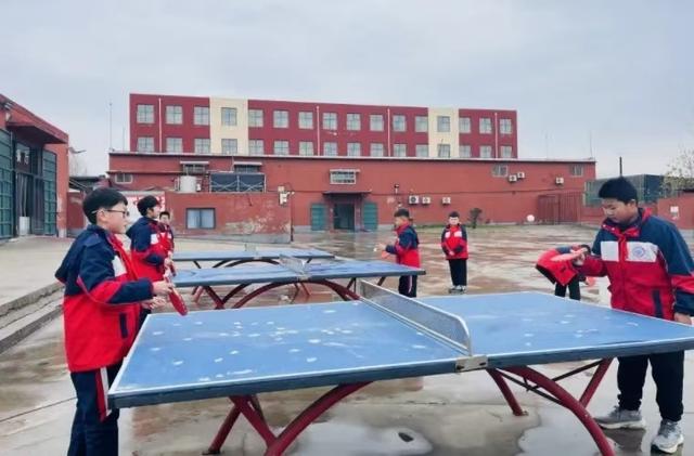 体育赋能石家庄打造宜居美丽新家园(图3)