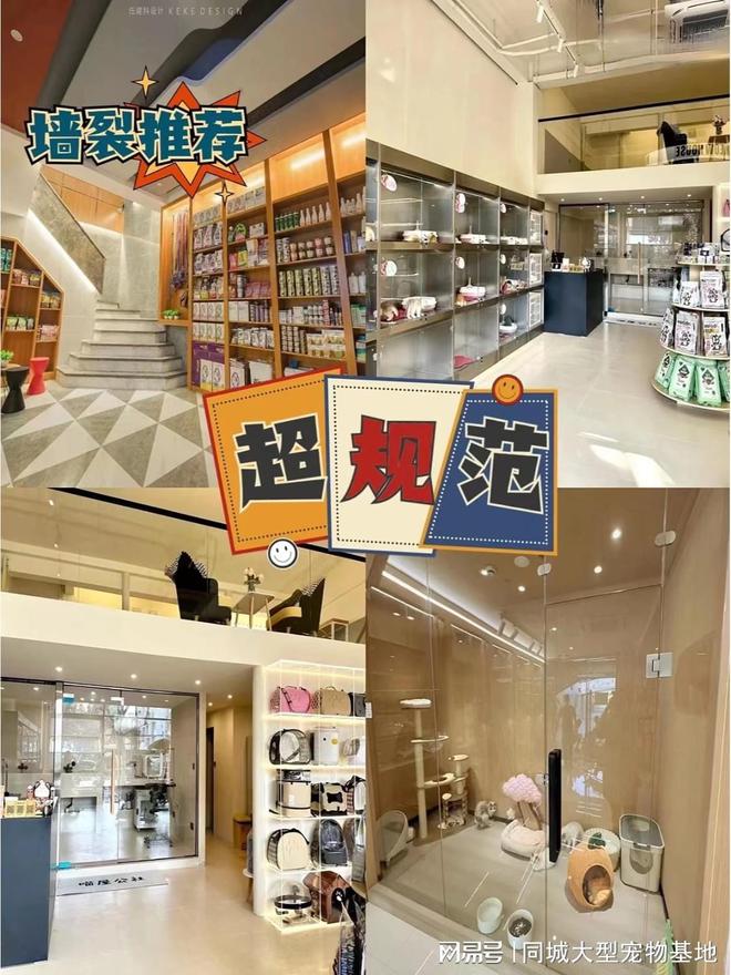 遵义哪里可以实体店看宠物？实地探访这确保安全选购您的爱宠(图3)