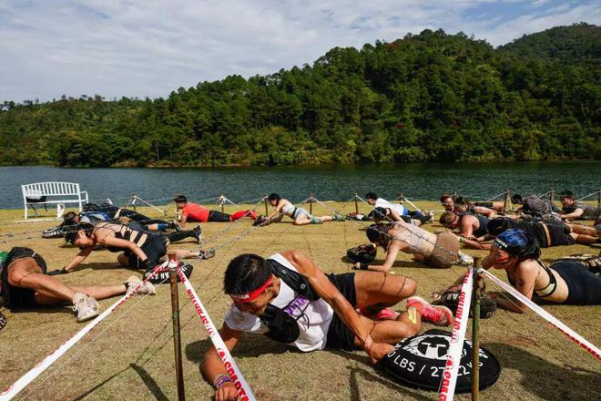 威廉希尔禹唐观察禹唐体育2025年体育营销市场趋势洞察（国内篇）(图2)