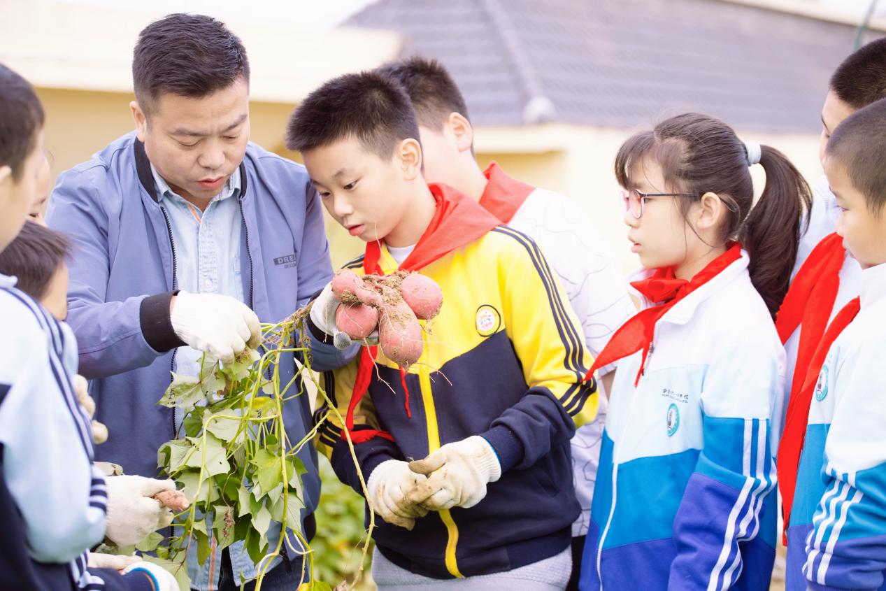 合肥一六八玫瑰园学校东校：五育齐绽育英才玫瑰华彩映未来(图8)