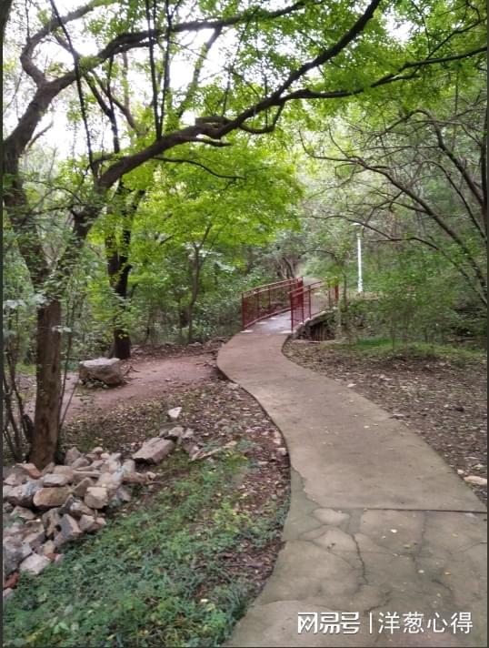 我的大学收获利用年威廉希尔WilliamHill轻爱好运动锻炼(图3)