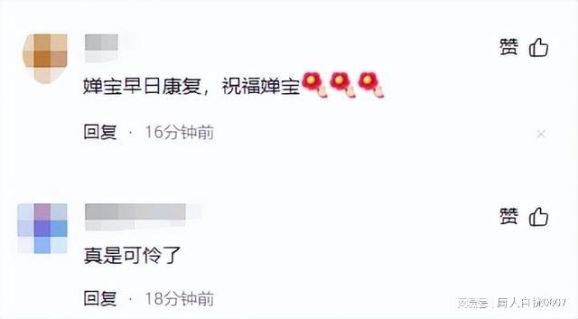 全国跳水冠军赛开战在即全红婵传出不好消息夺冠路再蒙阴影(图22)