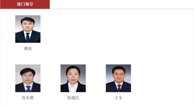 王芳不再“一肩挑双担”省体育局已无职或在中国篮协干到退休(图2)