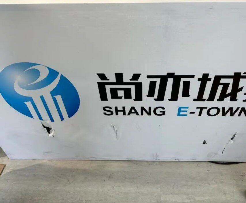 中国足球的世界杯冠军梦由一群机器人率先实现(图2)