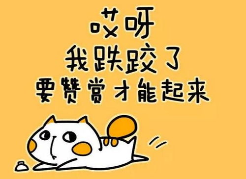 格斗什么项目最赚钱(图1)