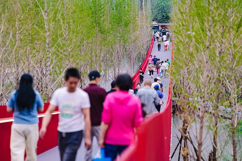 林间休闲、水上运动、艺文市集(图3)