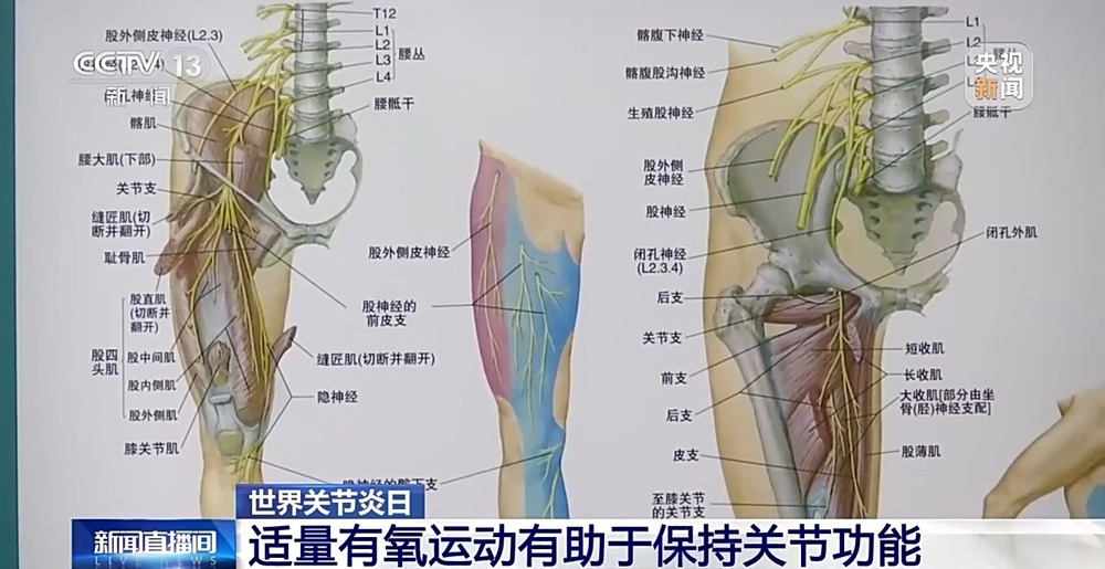 降温了你的骨关节还好吗？这份防护指南请收好(图7)