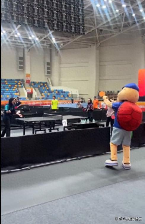 孙颖莎王艺迪亚锦赛赛前训练画面曝光：积极备战中状态不错