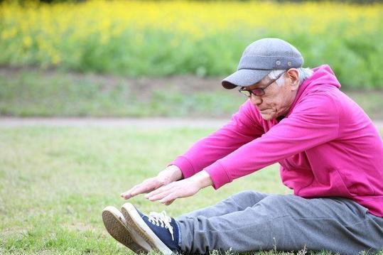 参加社区组织的老年运动活动(图3)