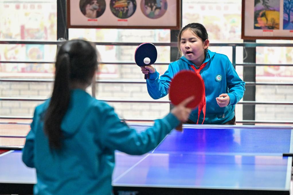 专家热议教育部要求全面落实“体育每天2小时”(图5)