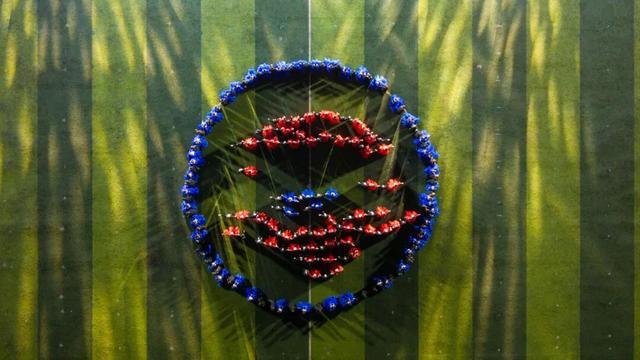 烟花璀璨青春飞扬：武汉学院第十九届田径运动会高燃开幕！(图5)