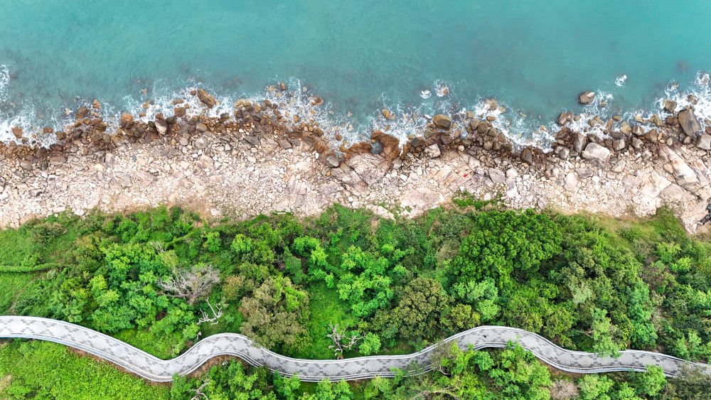 威廉希尔WilliamHill体育地理丨跃动大湾区(图20)