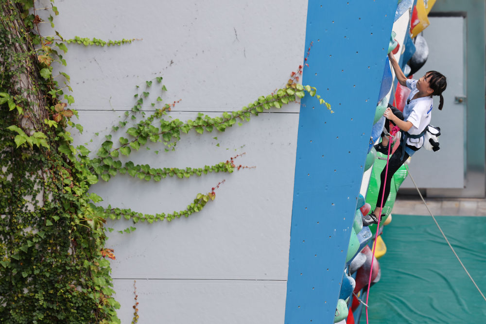 威廉希尔WilliamHill体育地理丨跃动大湾区(图10)