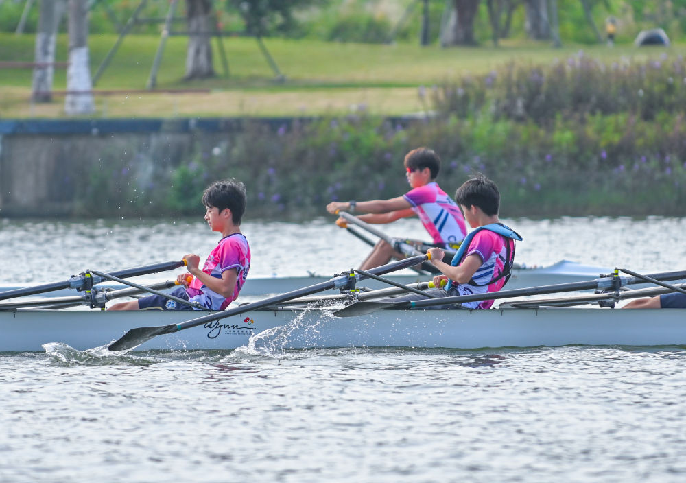 威廉希尔WilliamHill体育地理丨跃动大湾区(图32)