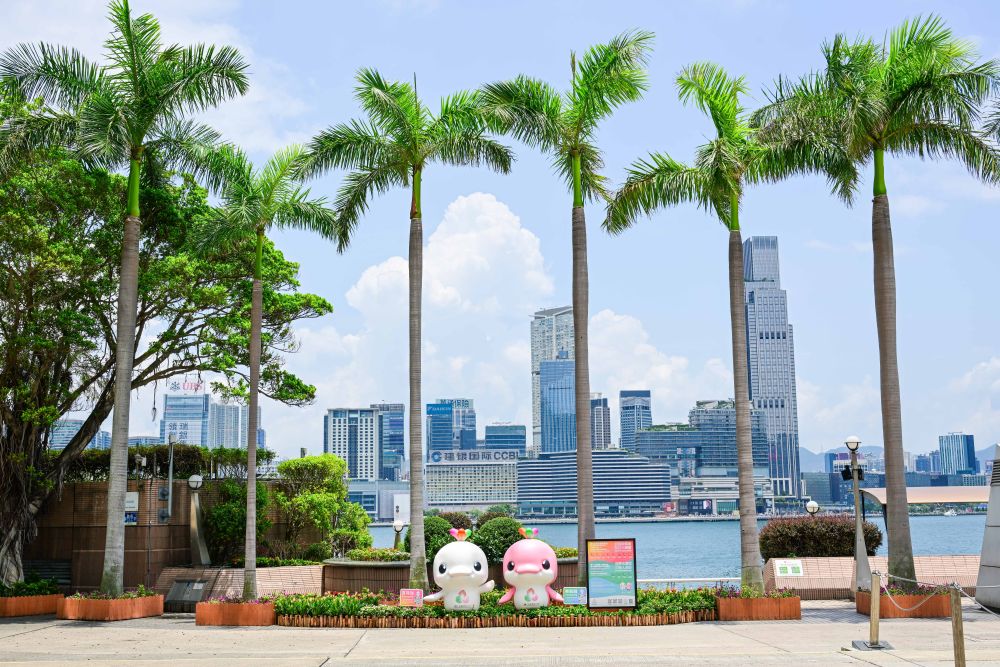 威廉希尔WilliamHill体育地理丨跃动大湾区(图38)