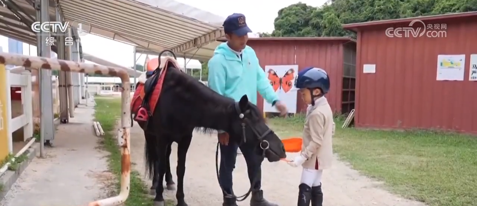 全运会点燃大湾区民众运动热情“体育+”解锁跨城融合“健康密码”(图9)