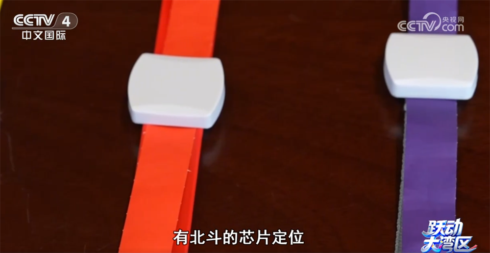 以“体育”为媒十五运会书写粤港澳大湾区“融合”新篇章(图2)