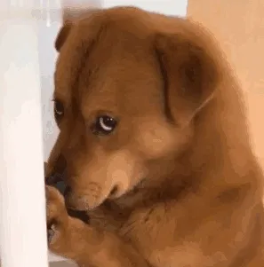 2025粤港澳魔方运动邀请赛举办(图3)