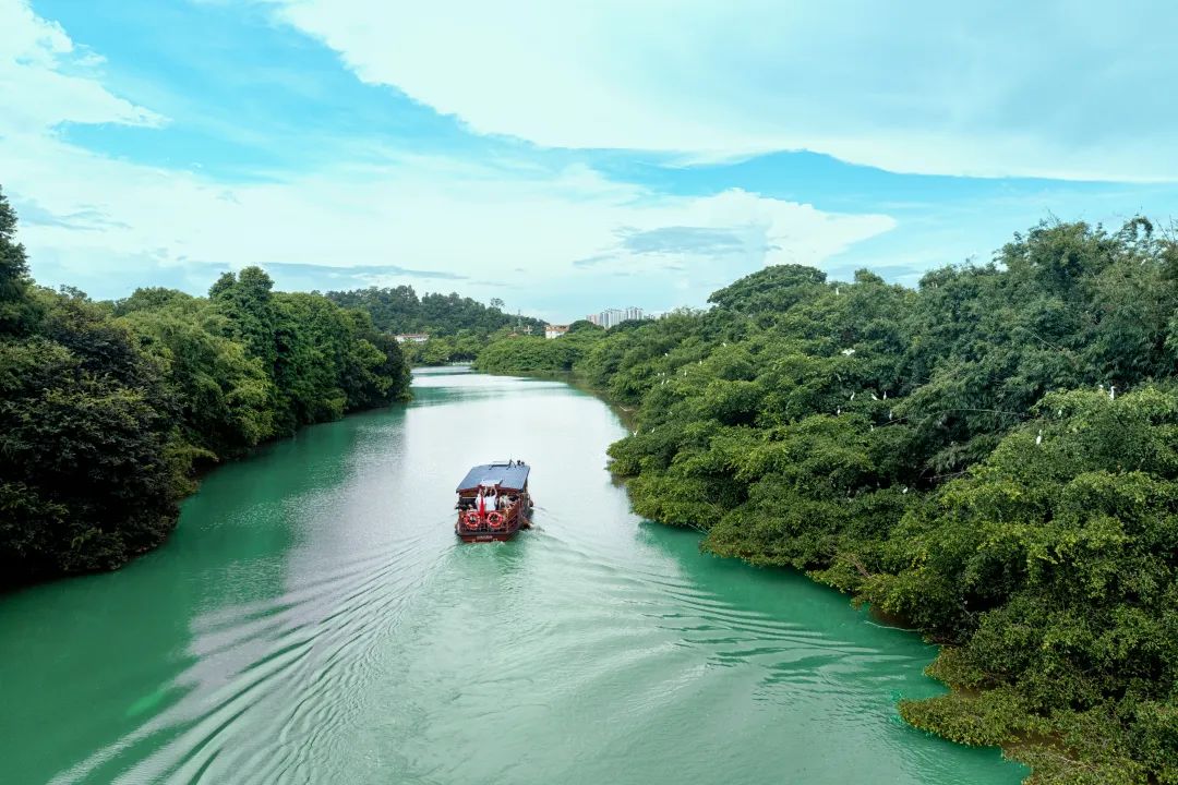 排球弧线勾勒江门体育性格(图9)