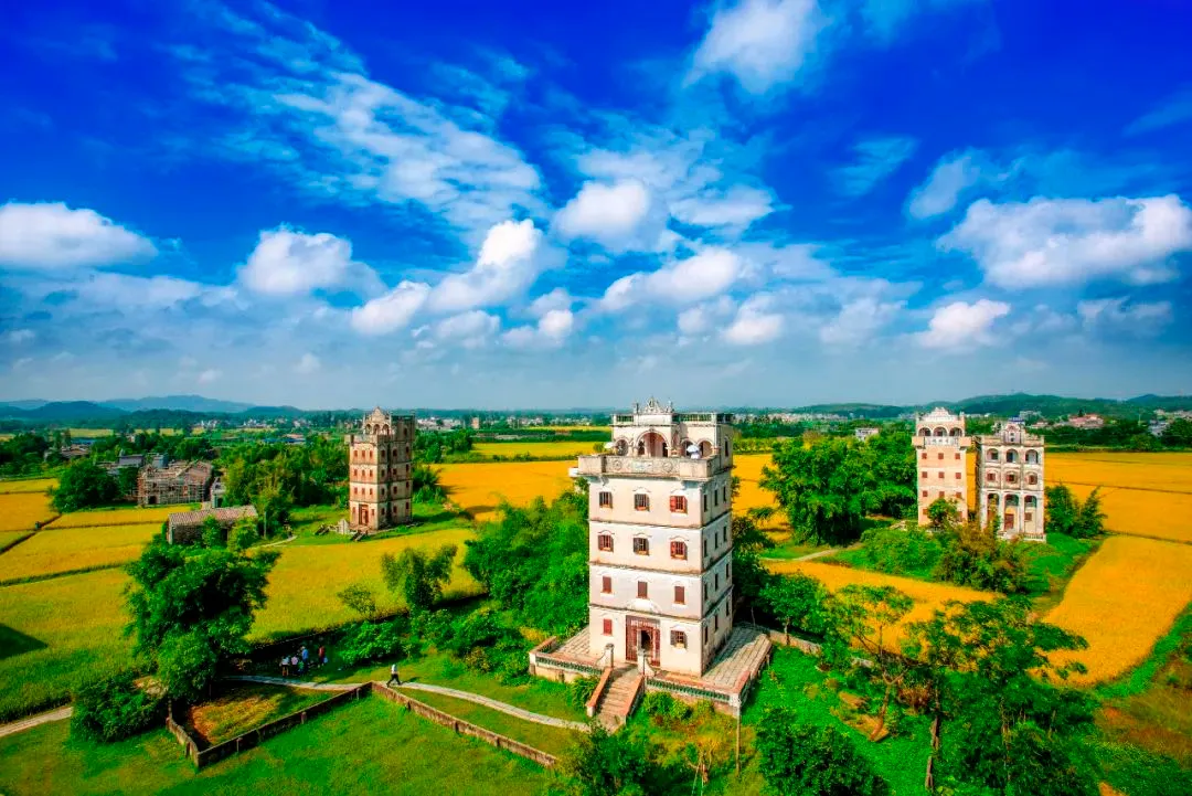 排球弧线勾勒江门体育性格(图5)