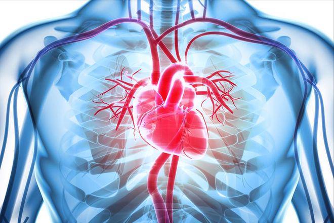 威廉希尔WilliamHill老年人运动新发现：适度锻炼如何延长寿命提升质量(图6)