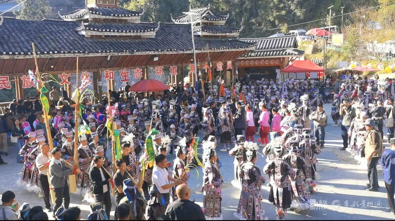 “县”在的幸福丨“百鸟”飞WilliamHill出月亮山(图1)