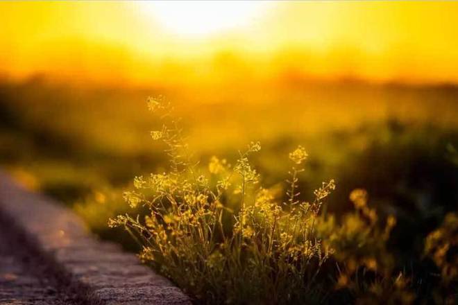 足球赛事精彩对决球迷大饱眼福(图1)