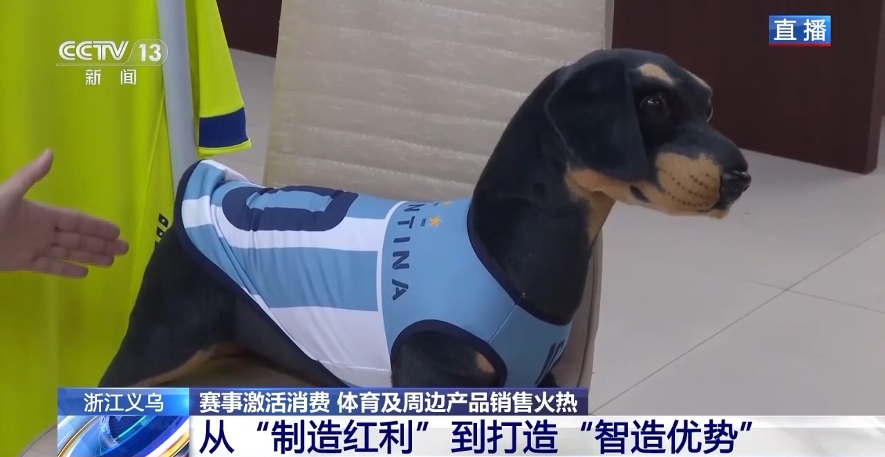球迷服、加油喇叭……义乌借世界杯东风加速驶入体育消费“快车道”(图3)