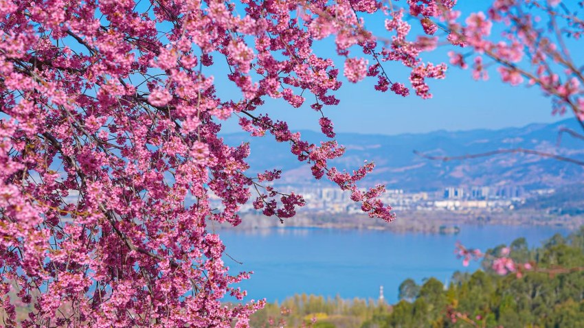 春假到凉山五大研学路线、六大景区福利等你来探！(图2)