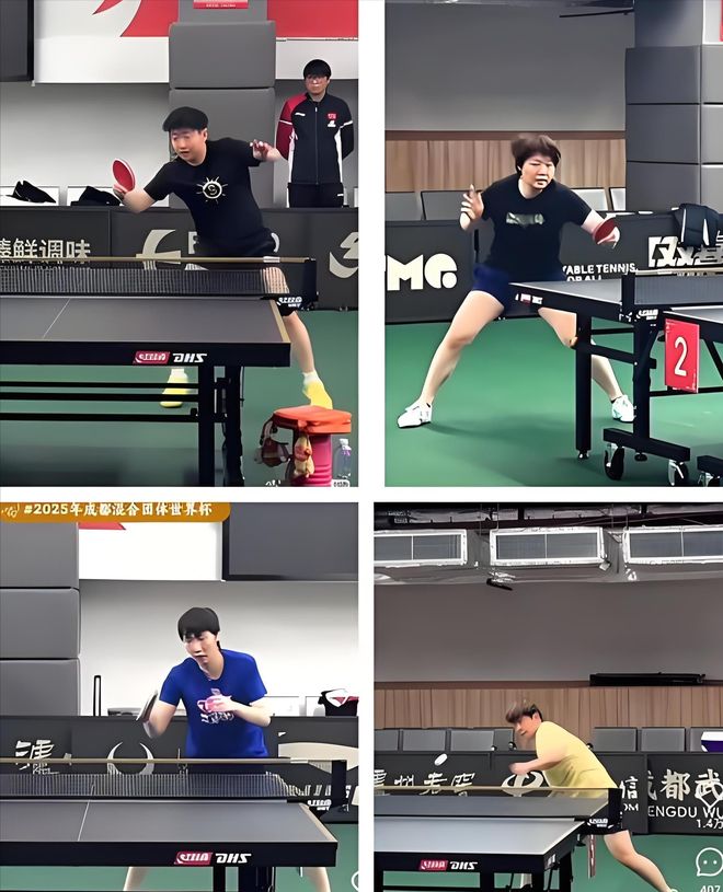 国乒“养狼”坐实？松岛辉空直言在这里1年胜过日本苦练10年(图13)